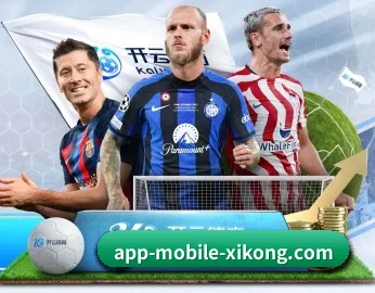 平台简介 - 体育资讯内容服务 | xingkongsport