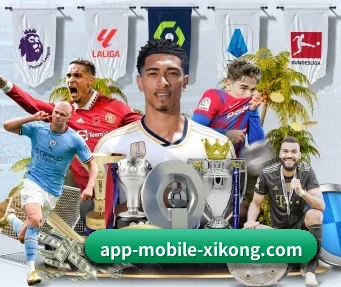 星空体育 APP - xingkongsport